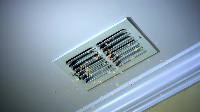 HVAC System Cleaning in Chaparral, NM