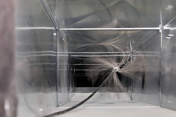 Best Air Duct Mold Removal  in Chaparral, NM