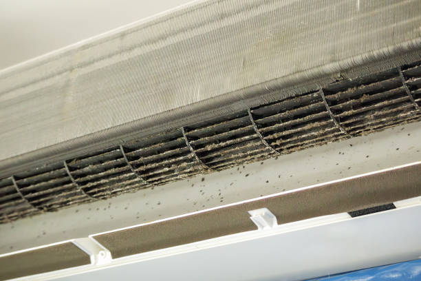 Best Duct Cleaning for Homes  in Chaparral, NM
